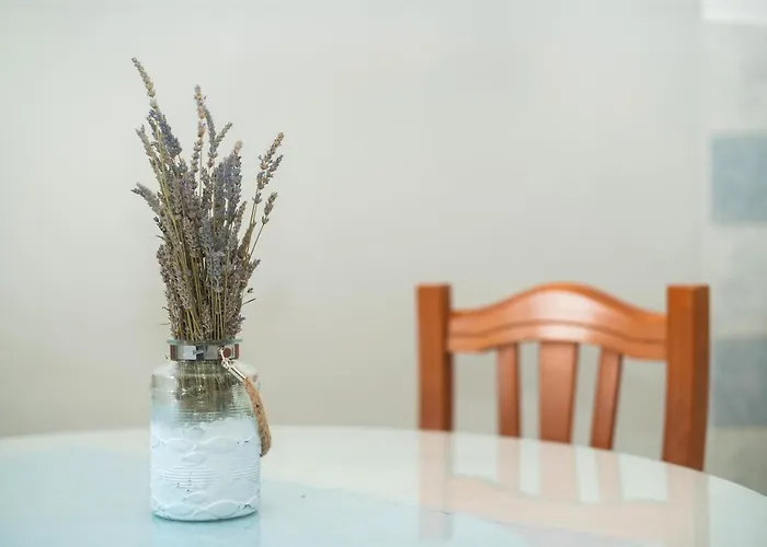 Anita Tribunj Apartment